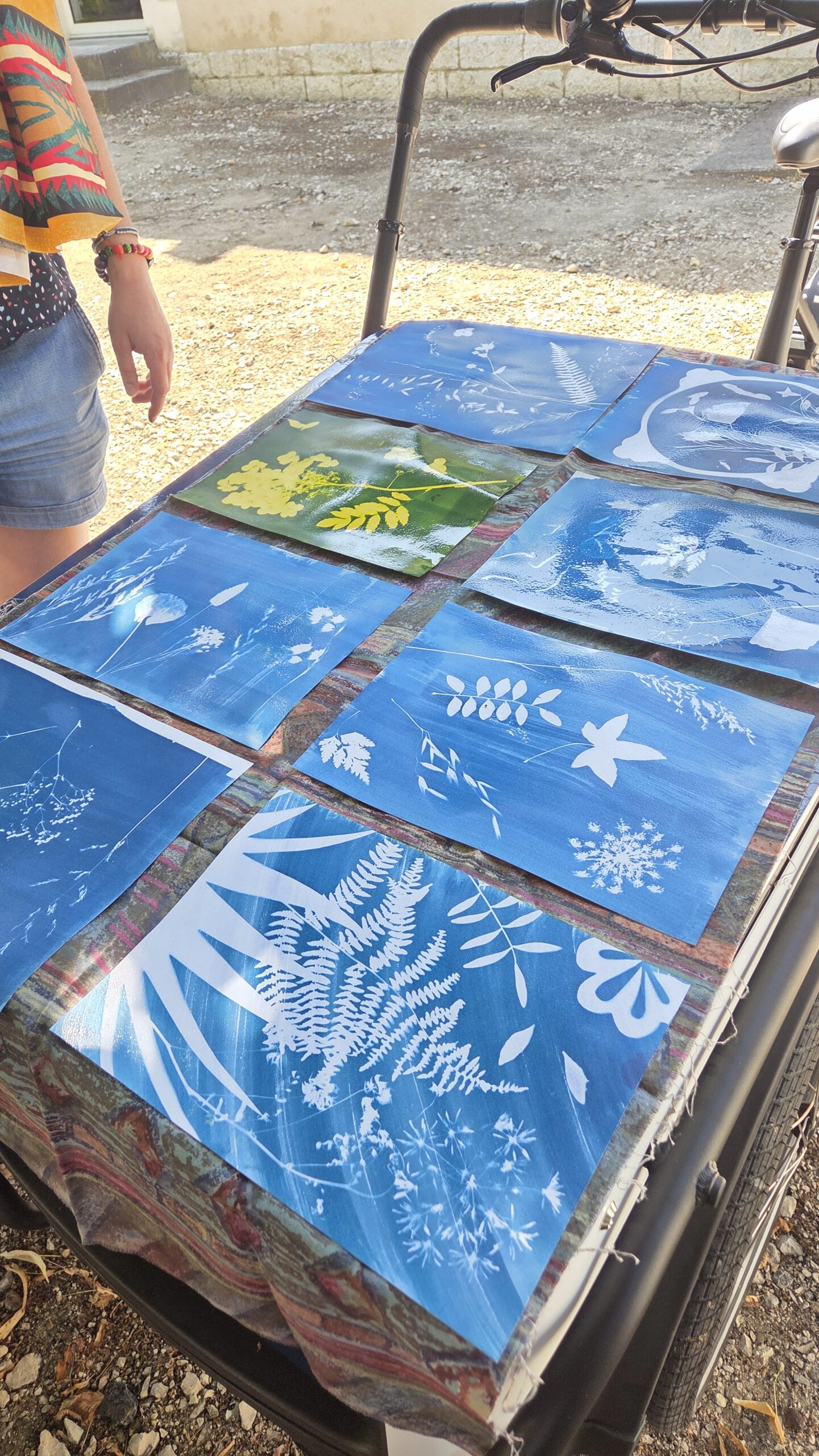 Partage de savoir | Cyanotype | La Chapelle-Saint-Mesmin